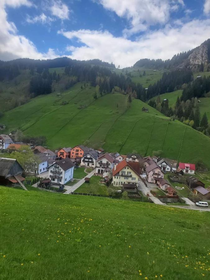 Pensiunea Sorina Casa Alba Felsőmoécs Kültér fotó